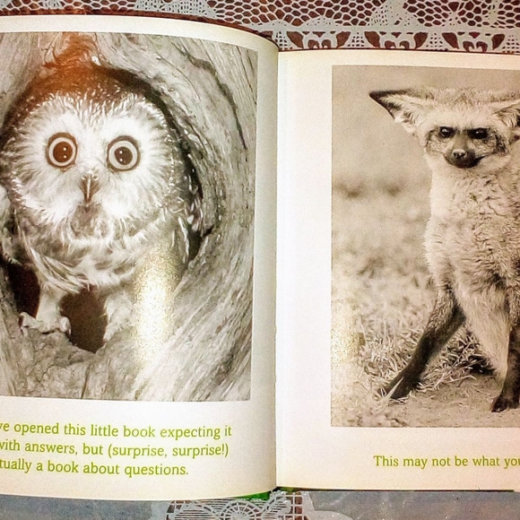 3 Pack Book Set: The Blue Day Book, The Meaning of Life, Thank You For Being You - Picture 7 of 16